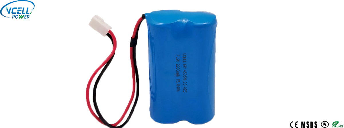 การสำรวจชุดแบตเตอรี่ Li-SOCL2: เหตุใดจึงเป็นโซลูชันด้านพลังงานที่มีอายุการใช้งานยาวนานที่สุด